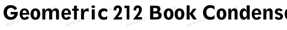 Geometric 212 Book Condensed BT字体转换